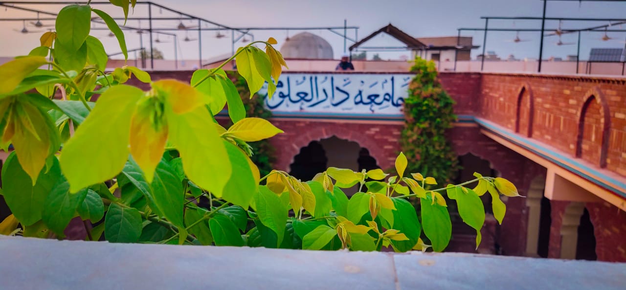 Beautiful Views of the University — 1